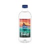 Вода питьевая Legend of Baikal Limited Edition негазированная, 0.5 л., ПЭТ (упаковка 12 шт)
